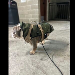 Wildebeest All Weather Dog Jacket Size Medium